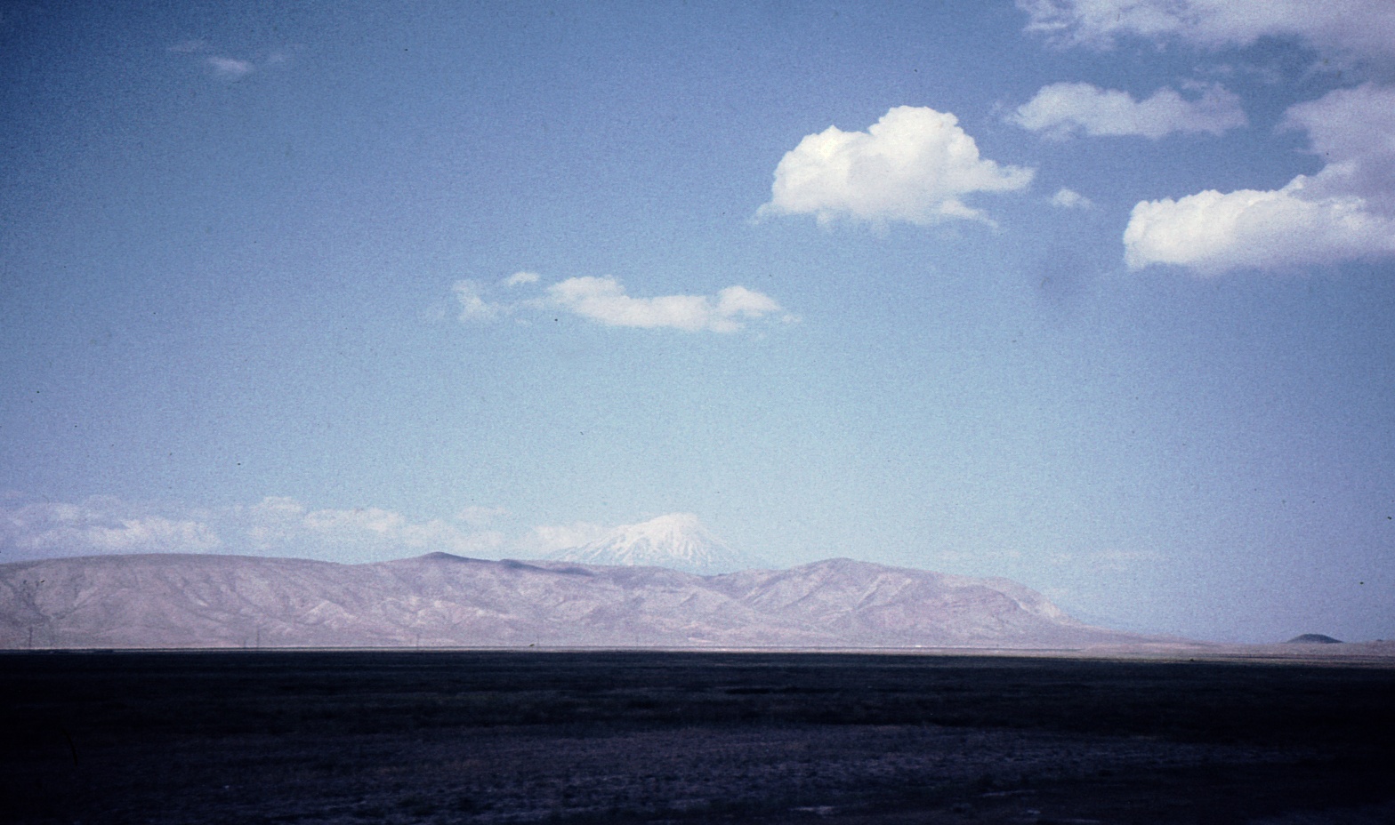 Ararat z busu